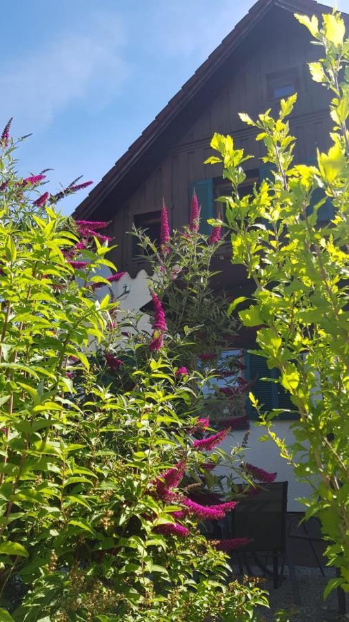 Apartamento Chill&Sleep Bad Ischl Exterior foto
