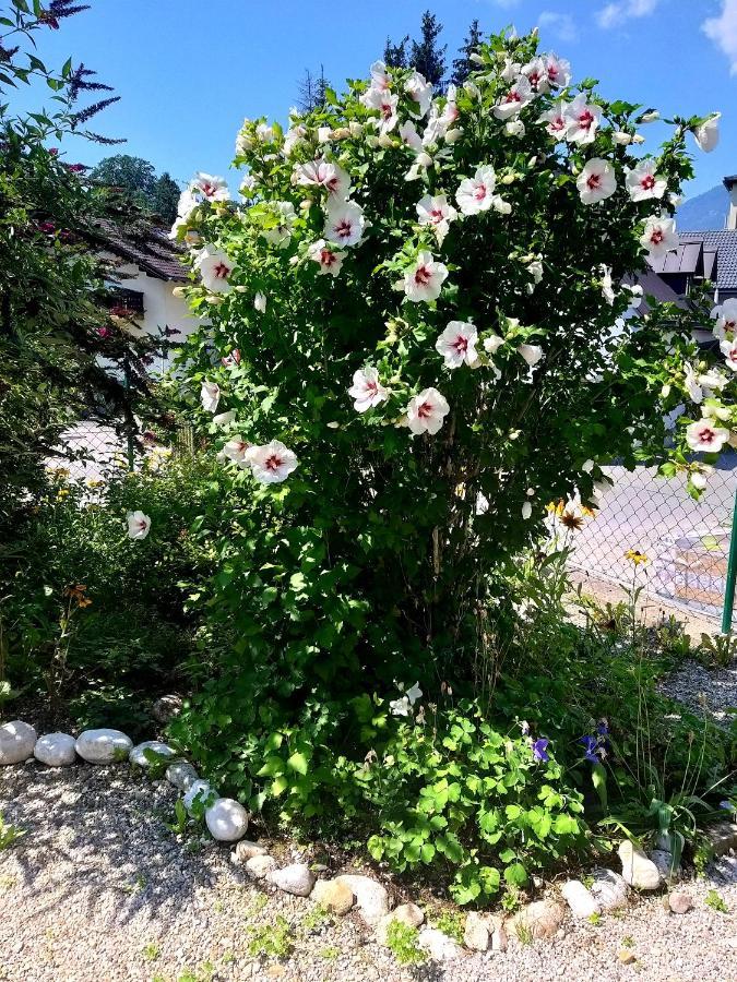 Apartamento Chill&Sleep Bad Ischl Exterior foto