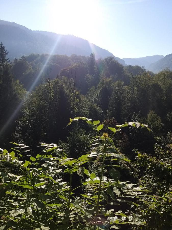 Apartamento Chill&Sleep Bad Ischl Exterior foto