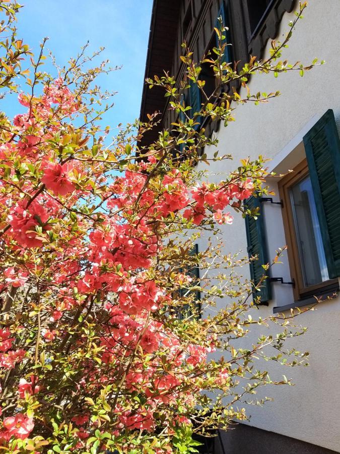 Apartamento Chill&Sleep Bad Ischl Exterior foto
